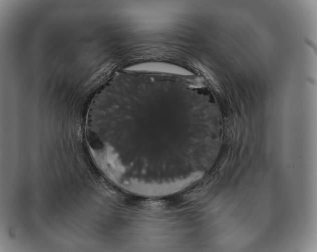 X0000091240313200708301545