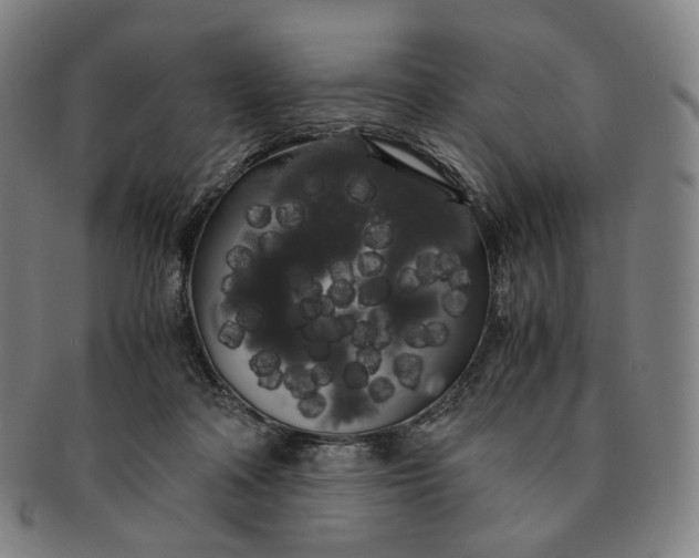 X0000091240314200708301545