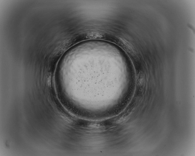 X0000091240315200708301545