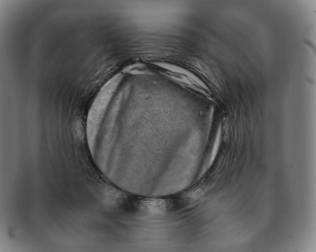 X0000091240317200708301545