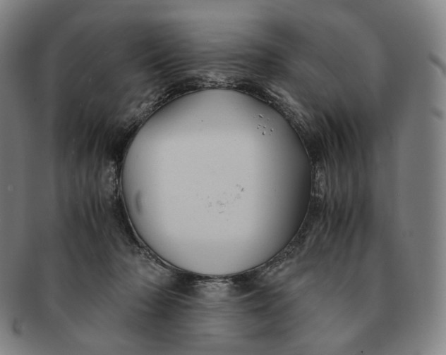 X0000091240318200708301545