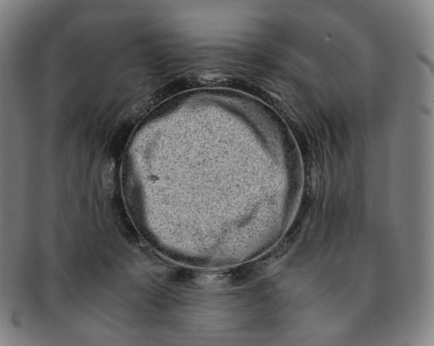 X0000091240319200708301545