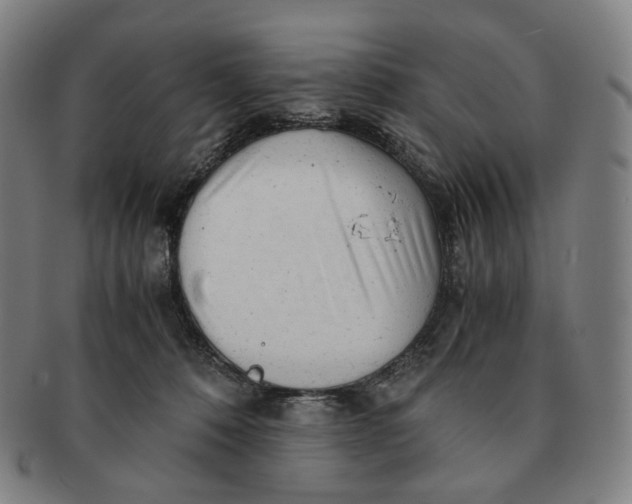 X0000091240320200708301545