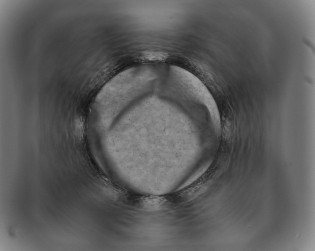 X0000091240321200708301545