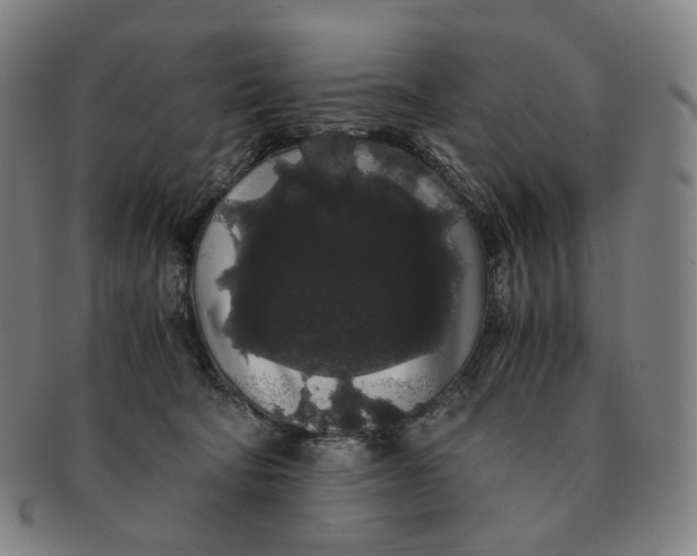 X0000091240322200708301545