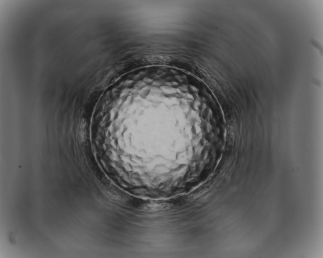 X0000091240323200708301545