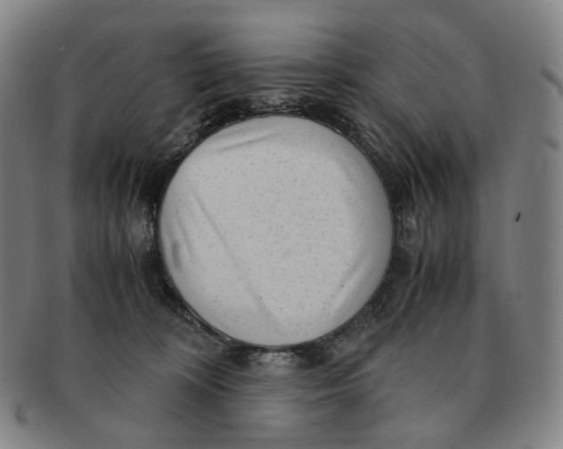 X0000091240324200708301545