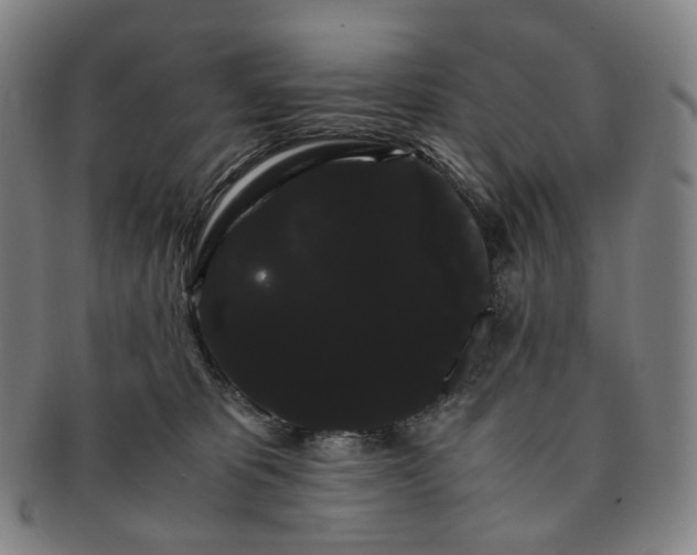 X0000091240325200708301545