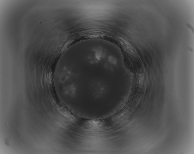 X0000091240326200708301545