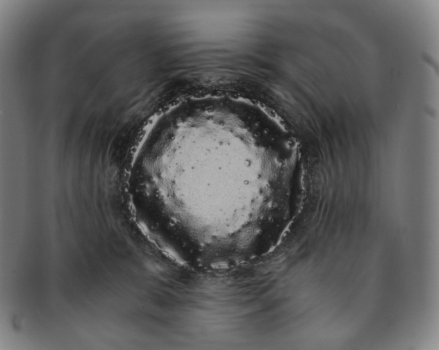 X0000091240327200708301545