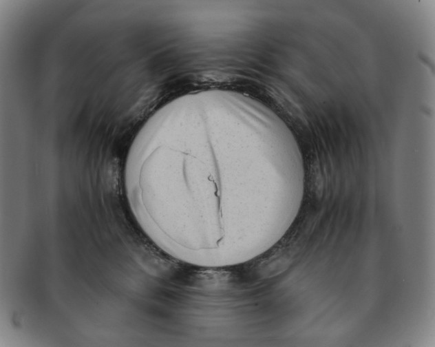 X0000091240328200708301545