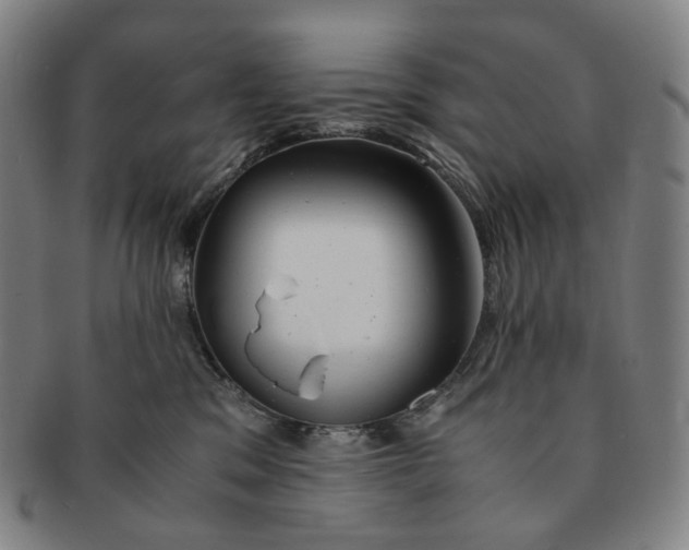 X0000091240329200708301545