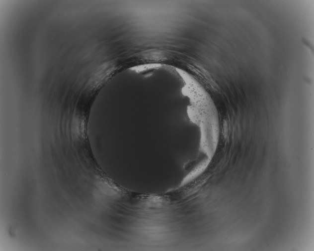 X0000091240330200708301545