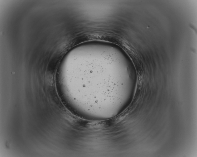 X0000091240331200708301545