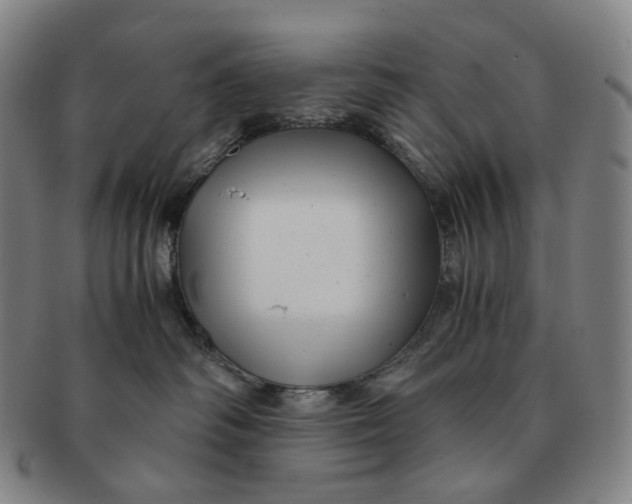 X0000091240334200708301545