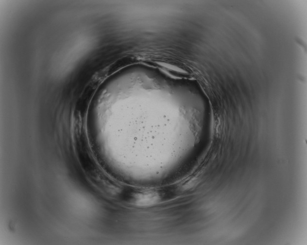 X0000091240335200708301545