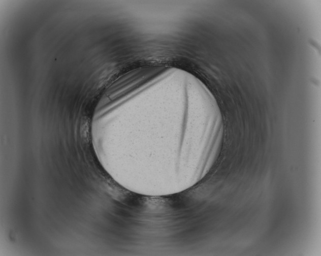 X0000091240336200708301545