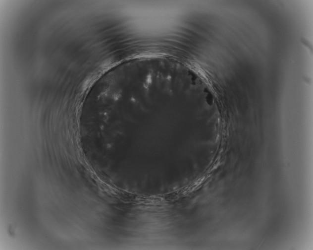 X0000091240337200708301544