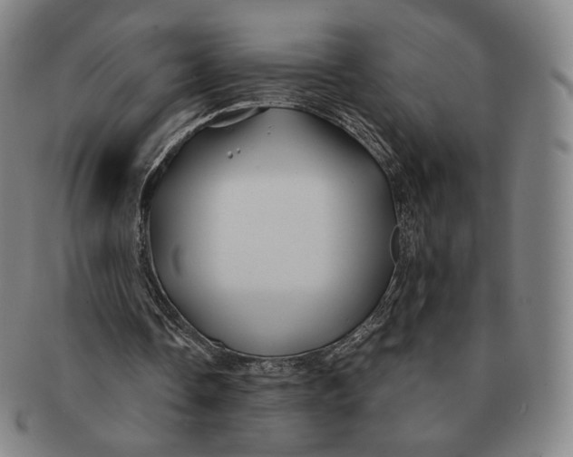 X0000091240338200708301544