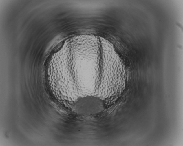 X0000091240339200708301544