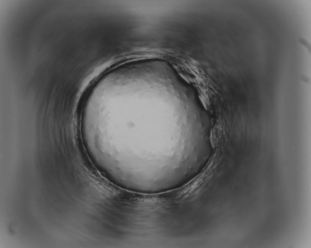 X0000091240342200708301544