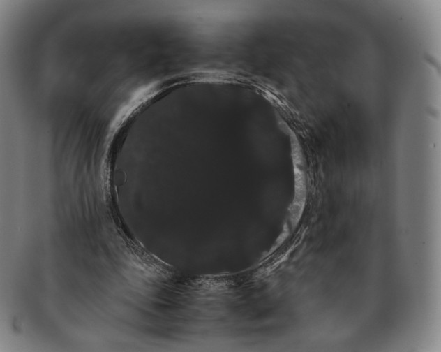 X0000091240343200708301544