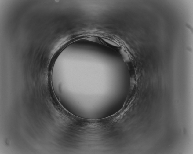 X0000091240344200708301544