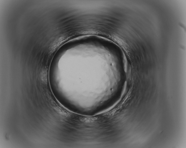 X0000091240345200708301544