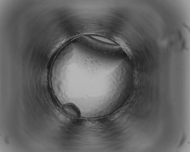 X0000091240346200708301544