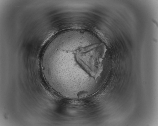 X0000091240347200708301544