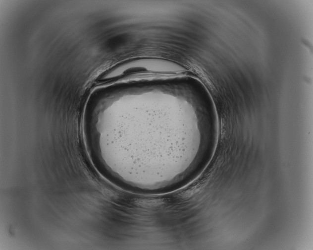 X0000091240349200708301544