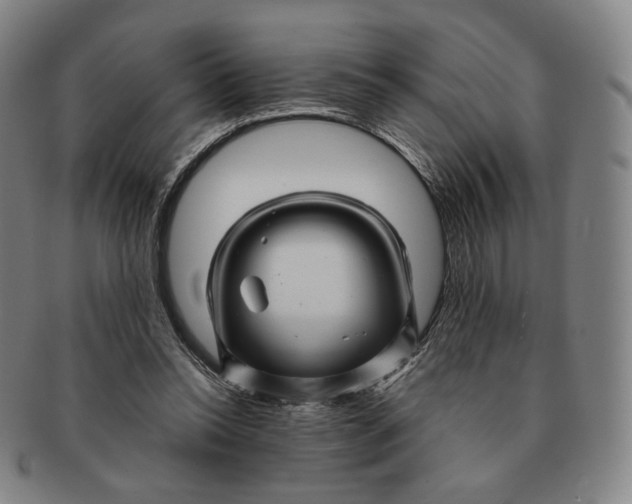 X0000091240350200708301544