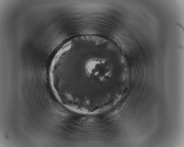 X0000091240351200708301544