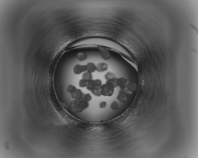 X0000091240352200708301544