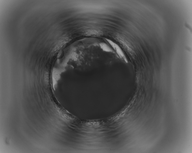 X0000091240353200708301544