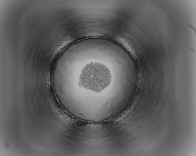 X0000091240354200708301544