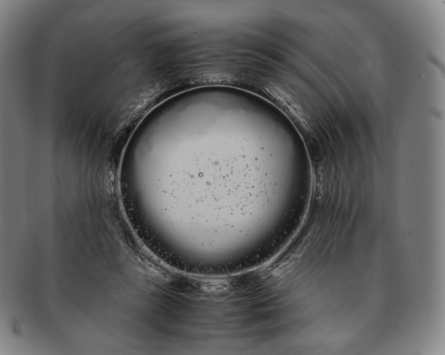 X0000091240355200708301544