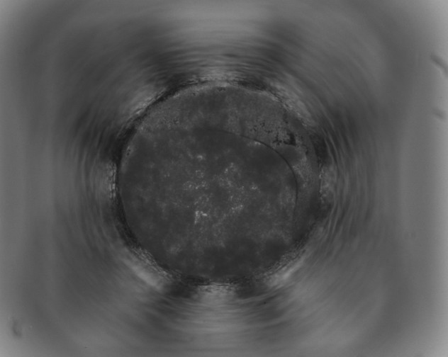 X0000091240356200708301544