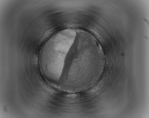 X0000091240357200708301544