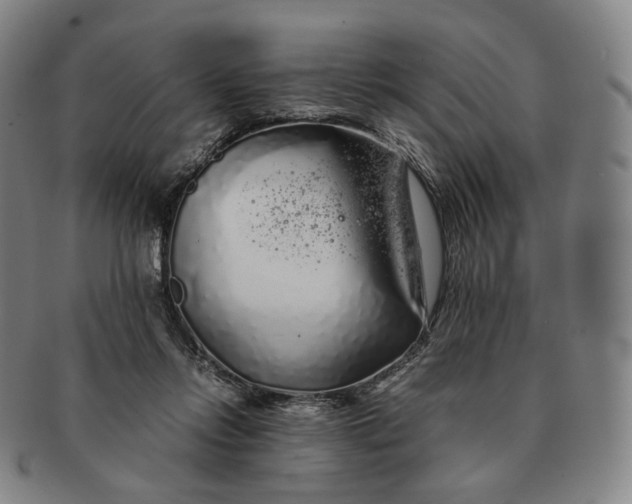 X0000091240358200708301544