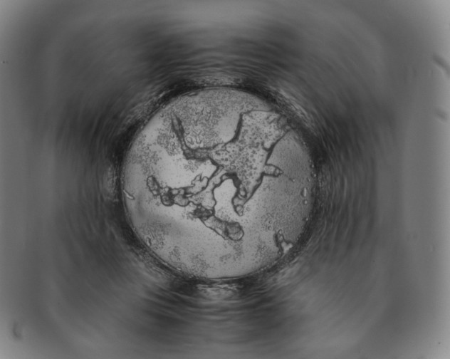 X0000091240359200708301544