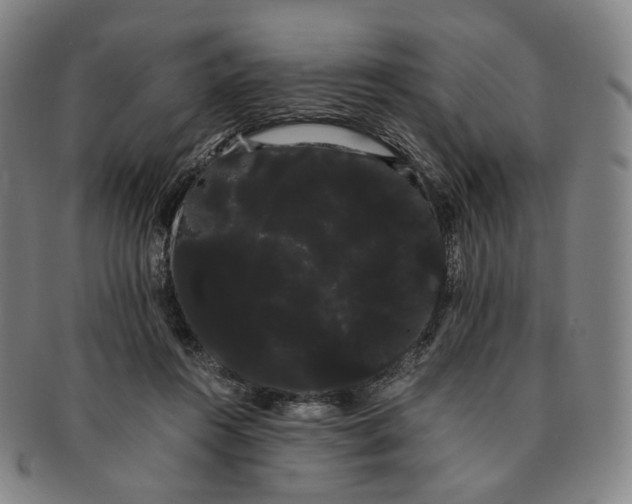 X0000091240360200708301544