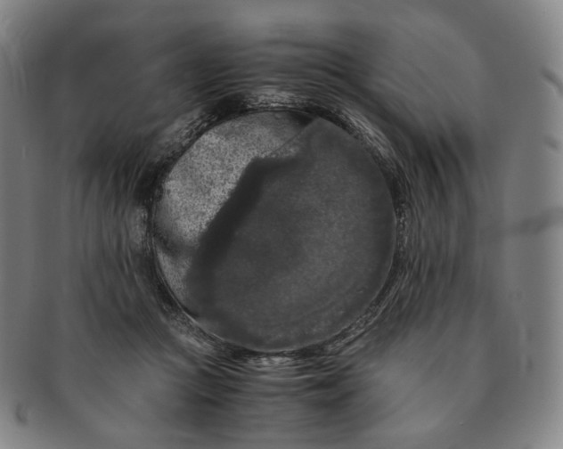 X0000091240361200708301544