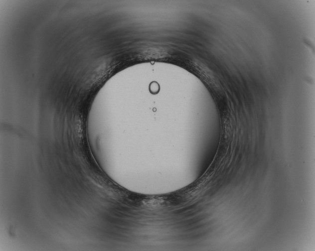 X0000091240362200708301544