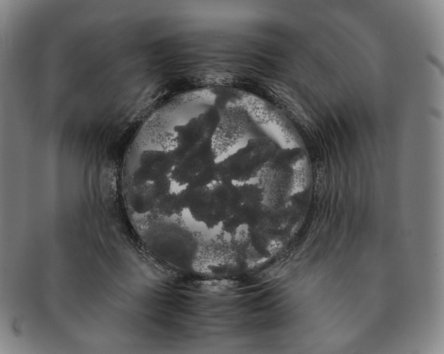 X0000091240363200708301544