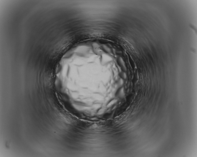 X0000091240364200708301544