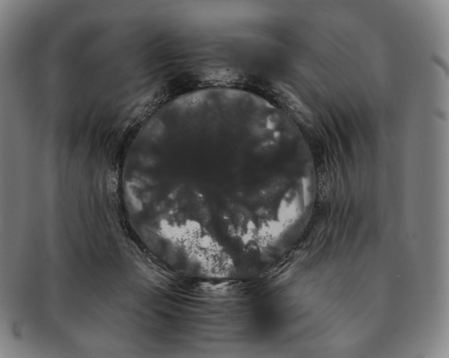 X0000091240365200708301544