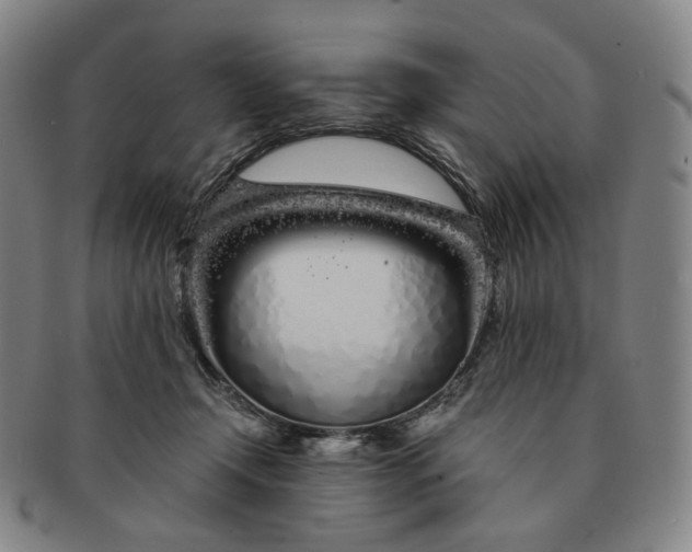 X0000091240366200708301544