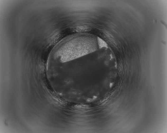 X0000091240367200708301544