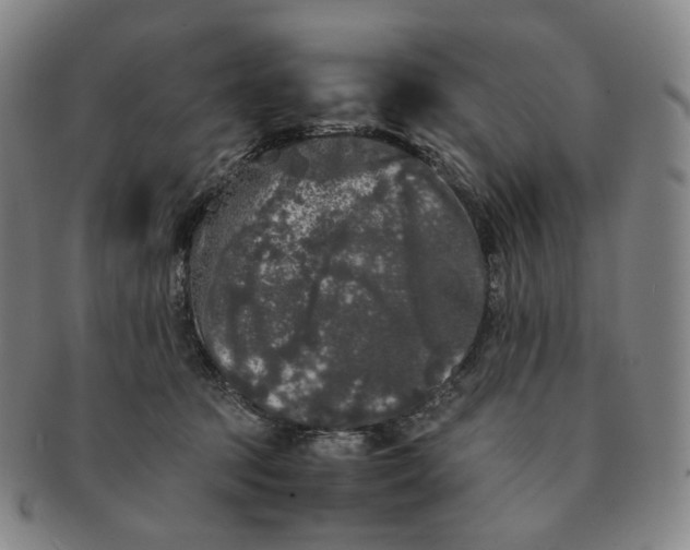 X0000091240369200708301544